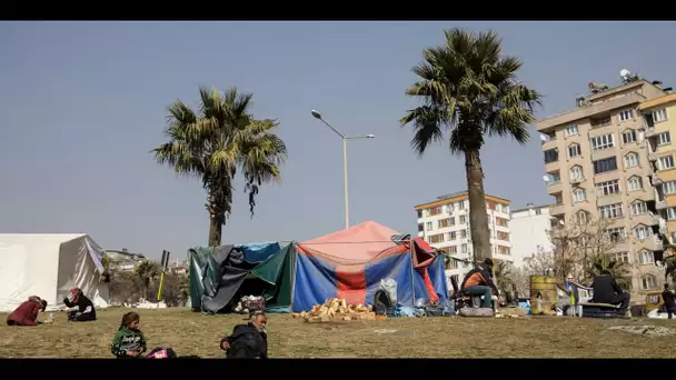 Séisme en Turquie : la ville de Mersin accueille les rescapés de la catastrophe