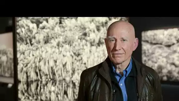 Sebastião Salgado et Jean-Michel Jarre défendent l'Amazonie à la Philharmonie • FRANCE 24