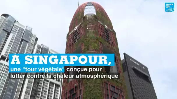 À Singapour, une "tour végétale" conçue pour lutter contre la chaleur atmosphérique  • FRANCE 24