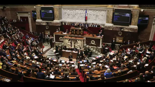 Interpellation raciste à l'Assemblée nationale : ce qui attend désormais le député RN concerné