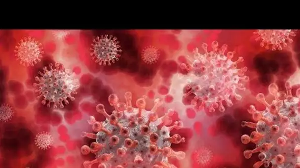 Coronavirus dans les Alpes-de-Haute-Provence : Le taux d’incidence s’envole