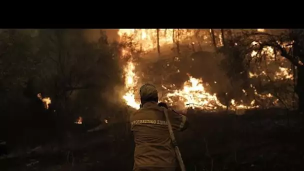 Grèce : Sur l'île d'Eubée, plus de 500 pompiers luttent contre les flammes