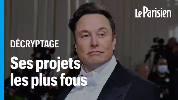 Bombe atomique sur Mars, puce dans le cerveau... les projets les plus fous d'Elon Musk