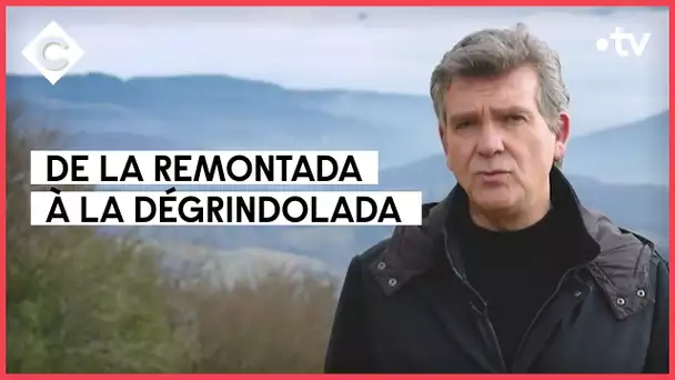 Arnaud Montebourg, une « remontada » de courte durée, avec Guillaume Tabard - C à Vous - 19/01/2022