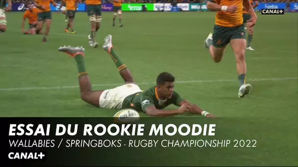 Canan Moodie, la Paarl des Boks, en terre promise - Wallabies / Springboks - Rugby Championship 2022