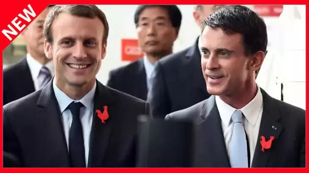 ✅  « Un gouvernement de musée Grévin » : le retour possible de Manuel Valls raillé dans l’opposition