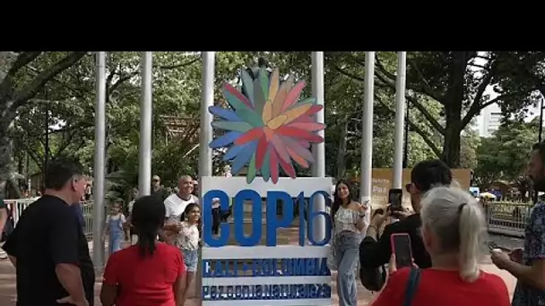 Biodiversité : les peuples autochtones prennent la parole à la COP16 en Colombie