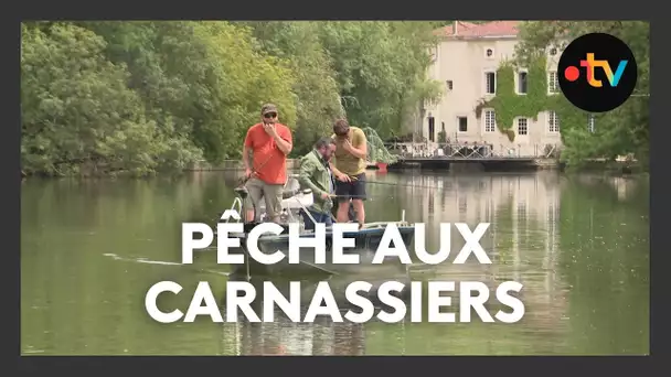 Jolis coins de pêche : pêche aux carnassiers à Vindelle en Charente