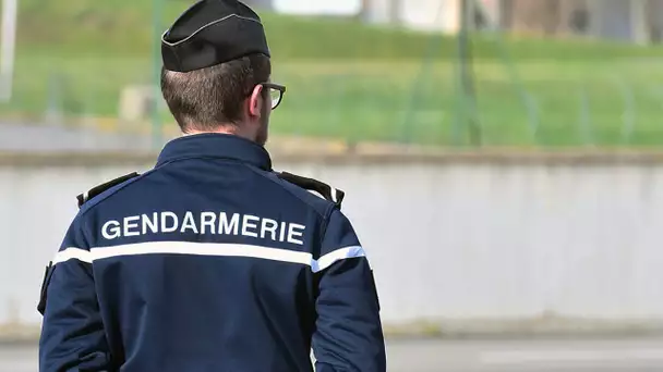 Trafic de drogue : à Obernai, en Alsace, l'opération «place nette» des gendarmes