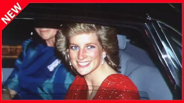 ✅  Diana : cet homme avec qui elle voulait rendre le prince Charles jaloux