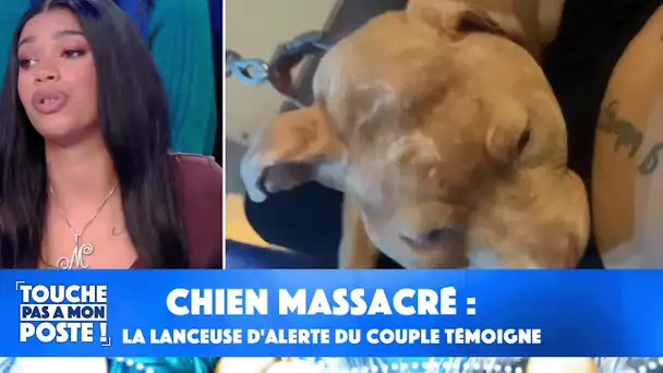 Chien massacré : la lanceuse d'alerte et connaissance du couple témoigne