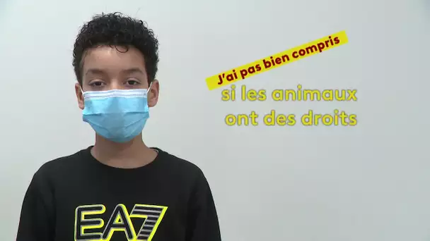 J'ai pas bien compris si les animaux ont des droits