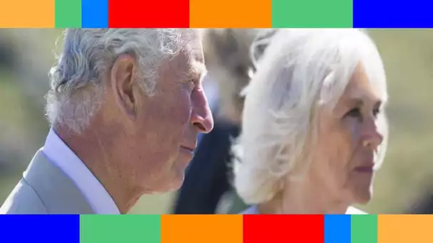 👑  Archie fête ses 2 ans : le prince Charles et Camilla partagent une tendre photo