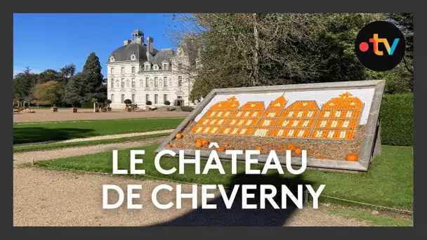 Citrouilles, coloquintes et chrysanthème : le château de Cheverny prêt pour l'automne