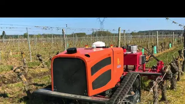 France 2030 : rencontre avec Agreenculutre, la start-up toulousaine qui veut robotiser l'agriculture