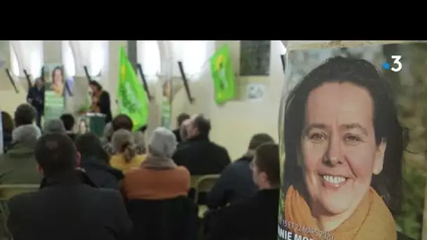 Municipales 2020 à Dijon : Stéphanie Modde a présenté sa liste écologique et solidaire