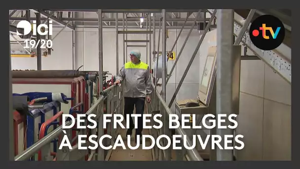 La sucrerie Tereos d'Escaudœuvres, future usine de frites : comment va fonctionner l'usine ?