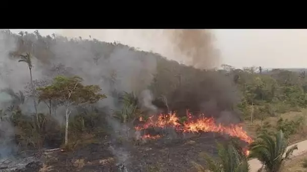 12 millions d'hectares de forêt incendiés en Amazonie : la Bolivie reçoit l'aide de l'UE