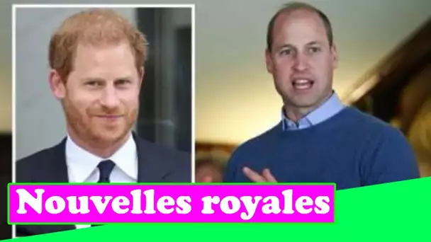 Le prince William a dit "cessez d'apaiser le prince Harry": "Il apprendra bientôt"