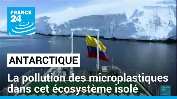 Pollution massive des mers : l'Antarctique menacé par les microplastiques • FRANCE 24