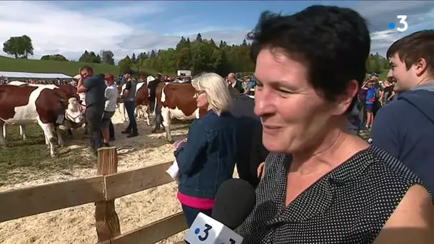 Comice des Hôpitaux-Vieux : des vaches dans un train à vapeur