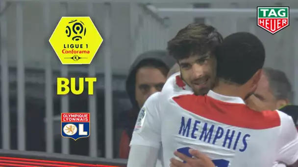 But Martin TERRIER (11') / Olympique Lyonnais - LOSC (2-2)  (OL-LOSC)/ 2018-19