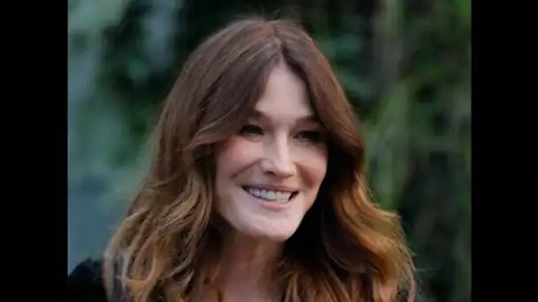 Carla Bruni : son bel hommage à Michel Fugain sur Instagram