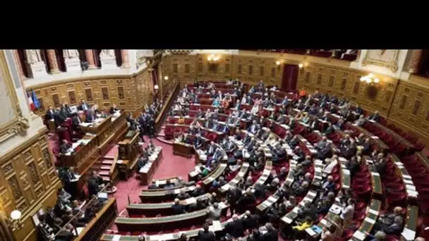 Pouvoir d'achat : le Sénat a voté le second volet de mesures cette nuit