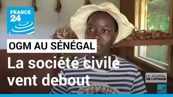 Recours aux OGM au Sénégal : la société civile dénonce une fuite en avant • FRANCE 24