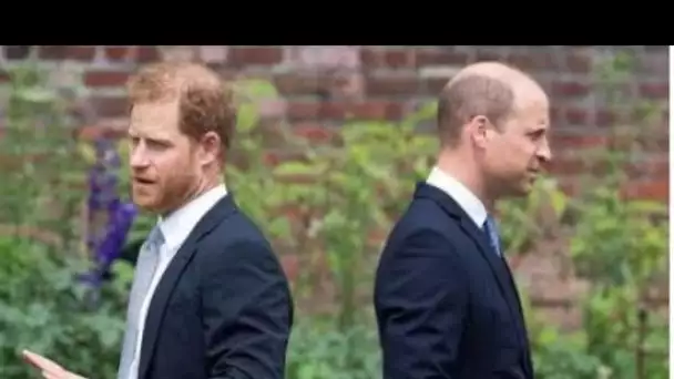 Les "rangées olympiques" de Harry et William prouvent que des années de guerre ont précédé le chaos