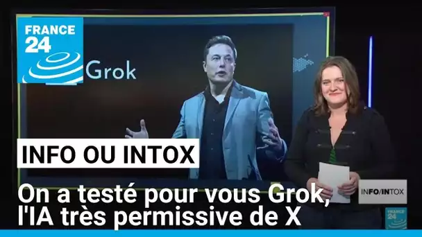 Je s'appelle Grok : pourquoi l’IA d’Elon Musk fait polémique • FRANCE 24