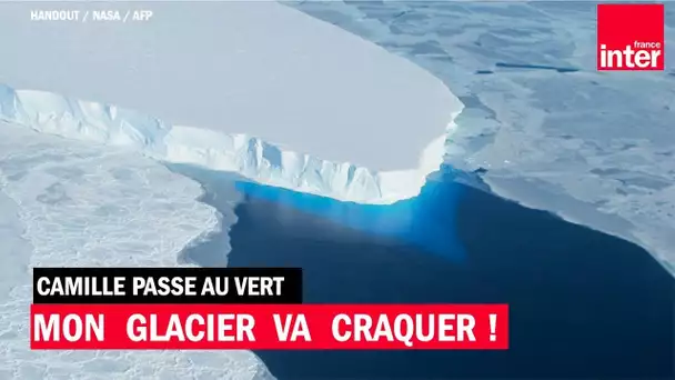 Pourquoi le glacier Thwaites en Antarctique est scruté par les chercheurs - Camille Passe au Vert