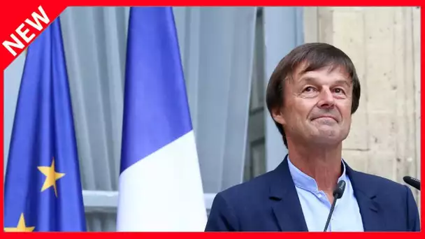 ✅  « Nicolas Hulot est le boulet du mandat » : cette saillie d’un ex-ministre