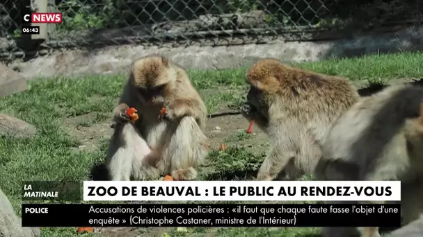 Zoo de Beauval : le public au rendez-vous