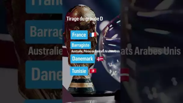 Coupe du monde 2022 : Le résultat du tirage pour l'équipe de France