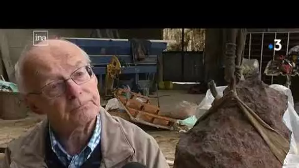 Météorite du Mont Dieu (dans les Ardennes)