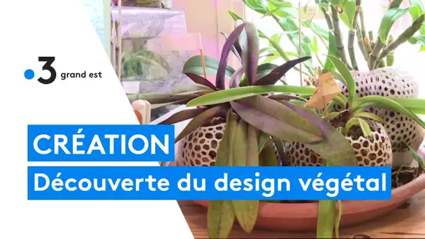 Découverte du design végétal et de la communauté "BE VEGETAL"