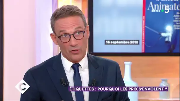 Julien Courbet : vivre avec 1000€ par mois - C à Vous - 13/09/2018