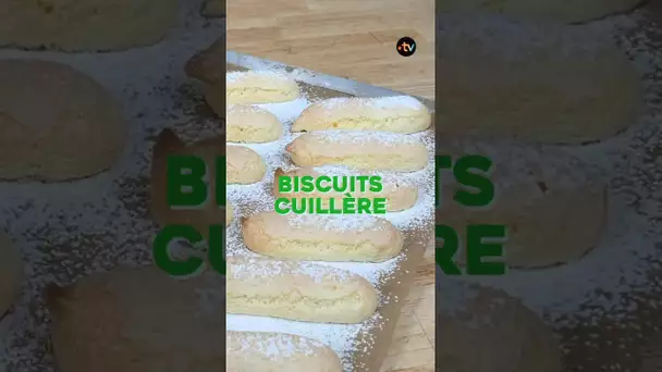 La recette des biscuits cuillère pour un tiramisu impeccable #occitanie #cuisine