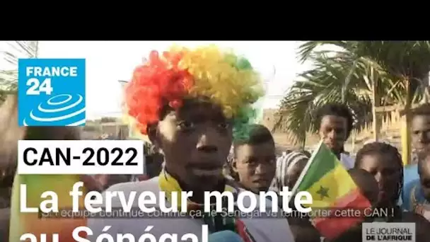 CAN-2022 : La ferveur monte au Sénégal avec le parcours des Lions de la Teranga • FRANCE 24