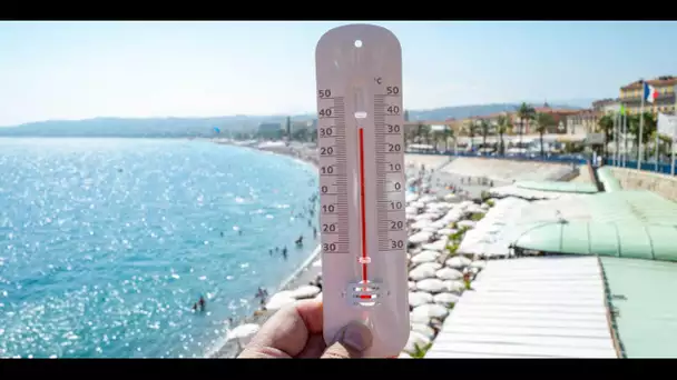 Canicule : de nombreux records de chaleur ont été battus ce mardi, indique Météo France