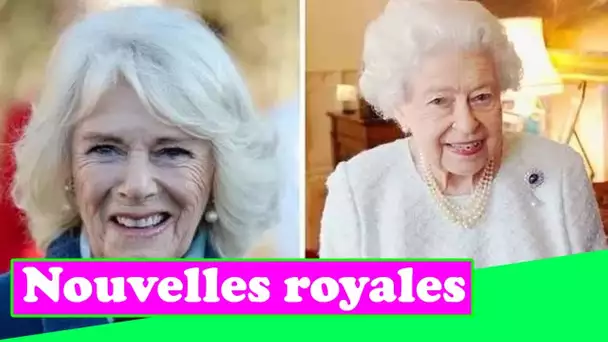 Camilla jongle avec deux familles avec un jour de Noël mouvementé exposé: "Comme tant de gens