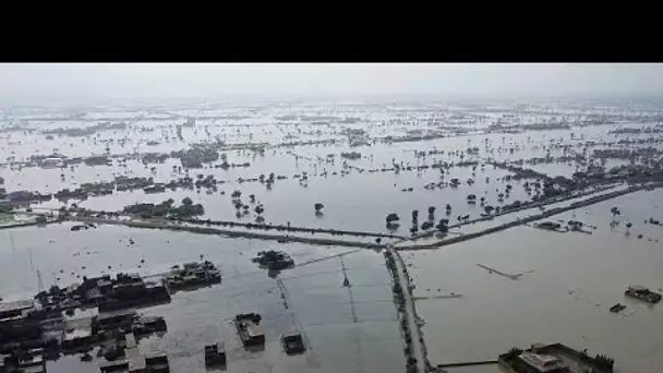 L'appel à l'aide du Pakistan : "Les pires inondations de l'histoire du Pakistan"