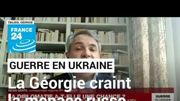 Guerre en Ukraine : la peur d'une attaque russe en Géorgie est "vraiment réelle" • FRANCE 24