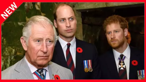 ✅  Harry et William : pourquoi leurs relations avec Charles sont parfois explosives