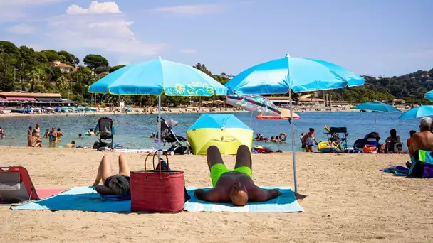 Chassé-croisé : les juillettistes cèdent leur place aux aoûtiens, soulagés d'être en vacances