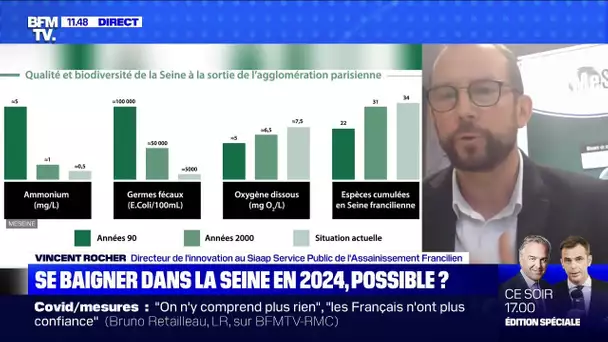 Se baigner dans la Seine en 2024, possible? BFMTV répond à vos questions