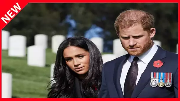 ✅  Le “coup de pub” de Meghan Markle et Harry ne passe (vraiment) pas