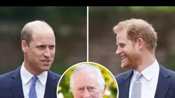 À l'intérieur du voyage solo du prince Harry au Royaume-Uni où il n'a « aucune intention » de rencon