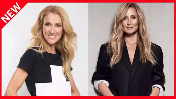 ✅  Lara Fabian torpillée par l’équipe de Céline Dion ? “Ce sont les règles du jeu”